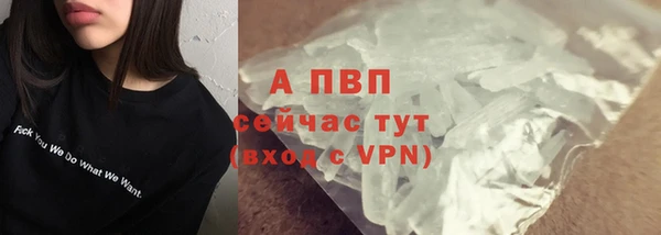 СК Нефтегорск