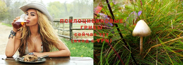 каннабис Новодвинск