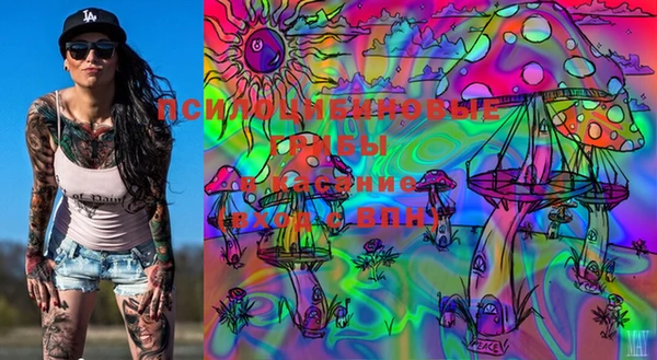 марки lsd Новозыбков