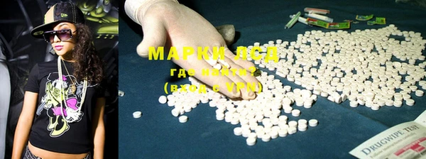 марки lsd Новозыбков