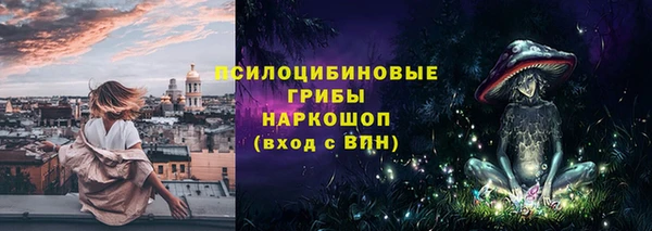 спиды Володарск