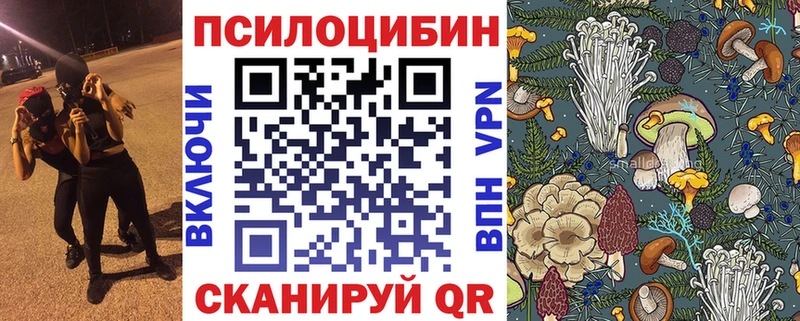 купить закладку  Белоозёрский  Псилоцибиновые грибы Psilocybe 